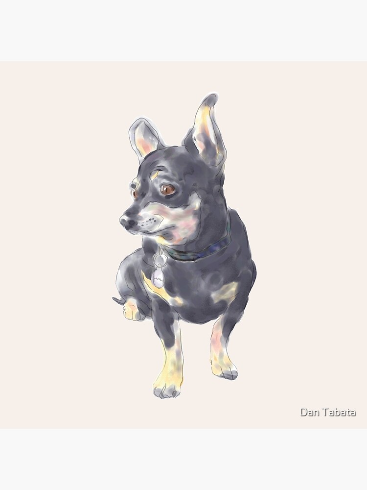 Little Dog Waiting by dmtab