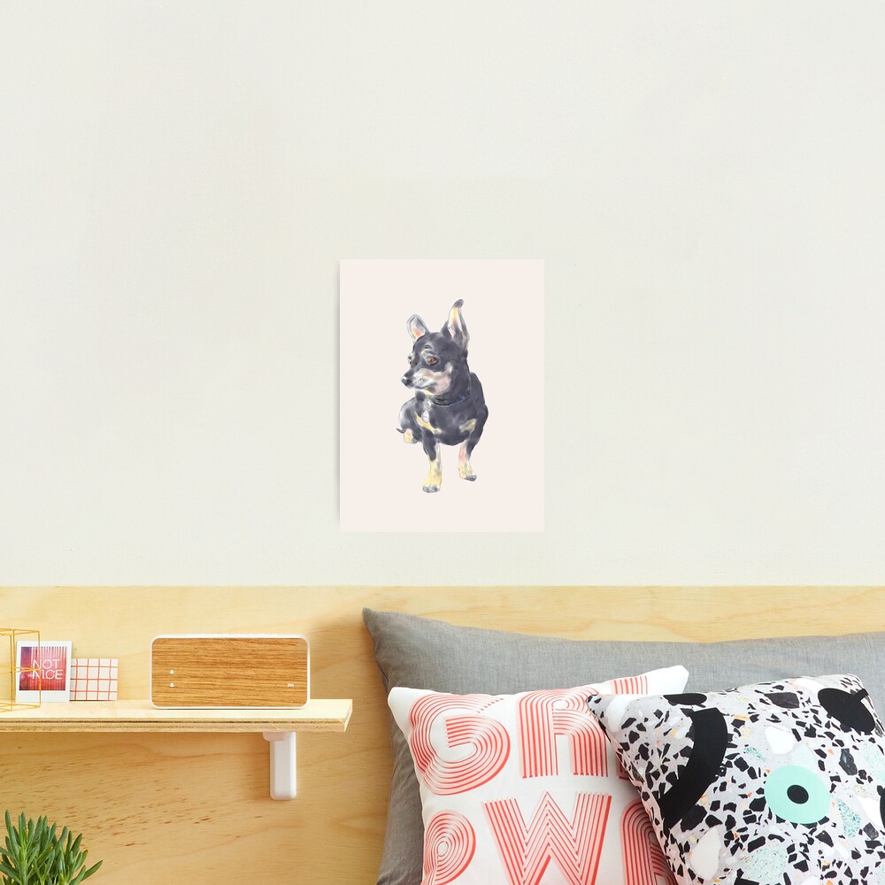 Little Dog Waiting Photographic Print