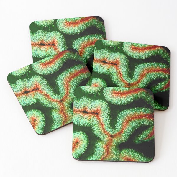 Item preview, Coral maze designed and sold by amosgazit.