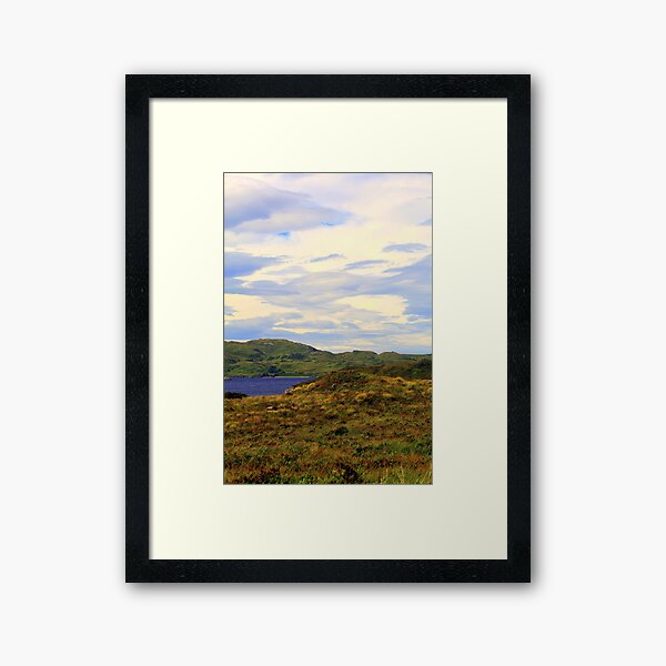 Summer Colours Framed Art Print