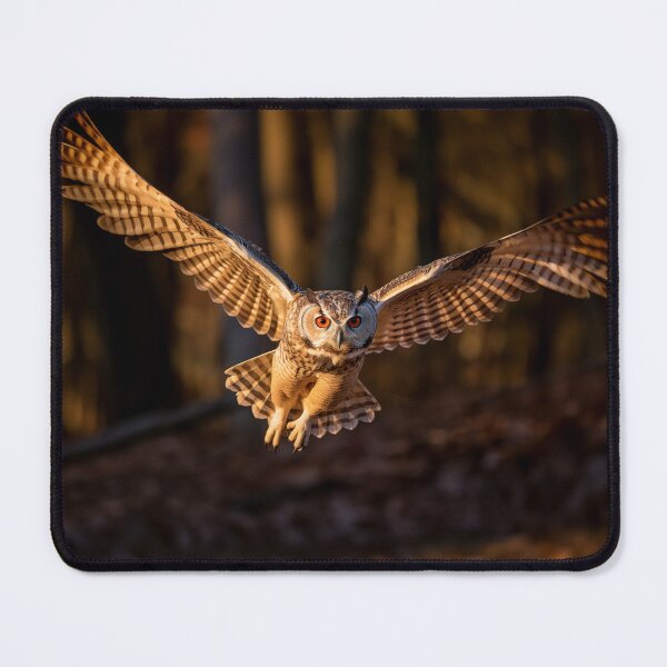 Item preview, Owl in Flight designed and sold by Steven Sandner.