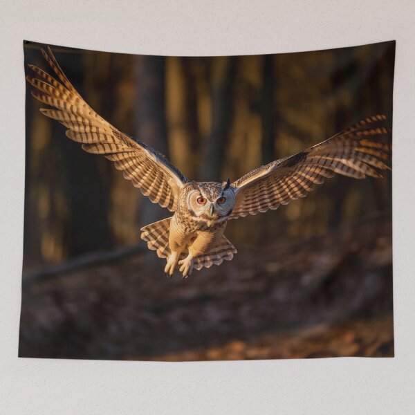 Item preview, Owl in Flight  designed and sold by Steven  Sandner.