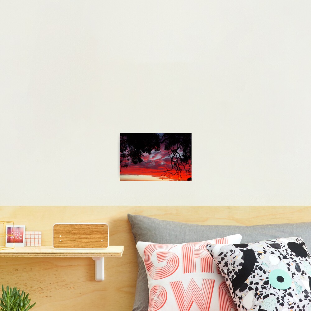 Item preview, Photographic Print designed and sold by AlisonHowson.