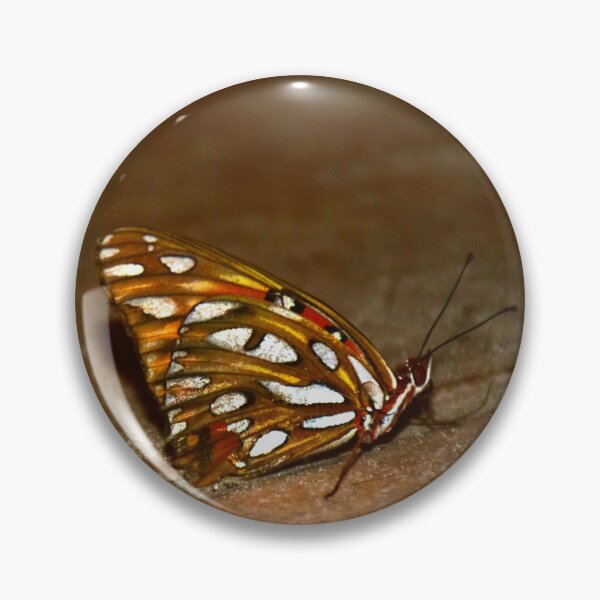 Item preview, Gulf Fritilarry Butterfly designed and sold by MercerImages.