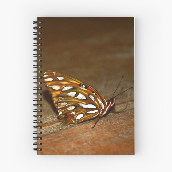 Item preview, Gulf Fritilarry Butterfly designed and sold by MercerImages.