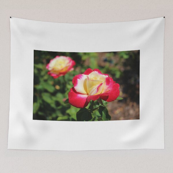 Item preview, Double Delight designed and sold by Cynthia48.