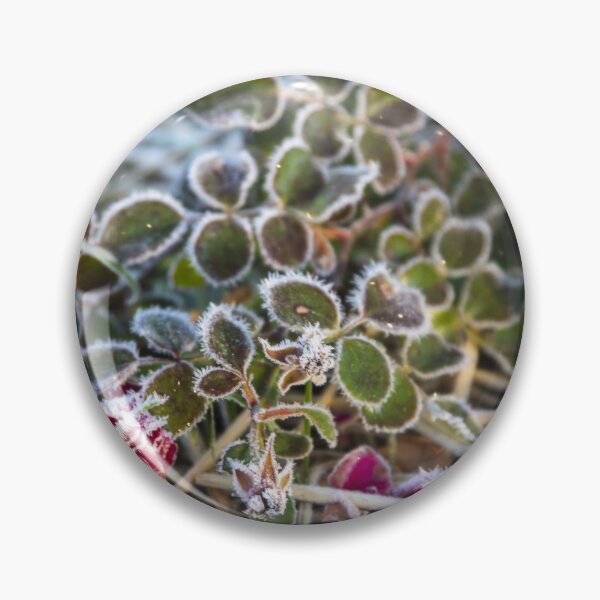 Item preview, Glacé creeping rose designed and sold by David SINIGAGLIA.