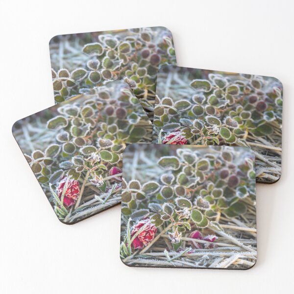 Item preview, Glacé creeping rose designed and sold by David SINIGAGLIA.