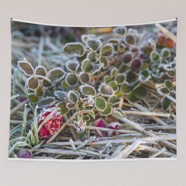 Item preview, Glacé creeping rose designed and sold by David SINIGAGLIA.