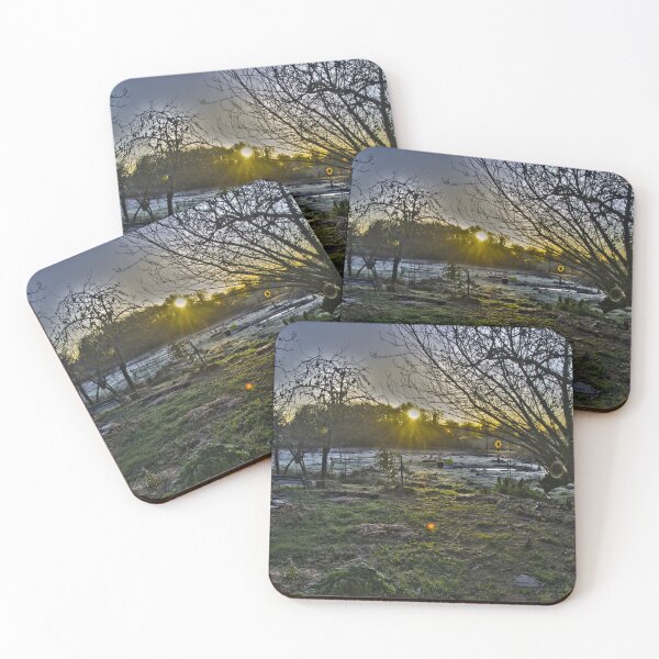 Item preview, Frozen landscape designed and sold by David SINIGAGLIA.