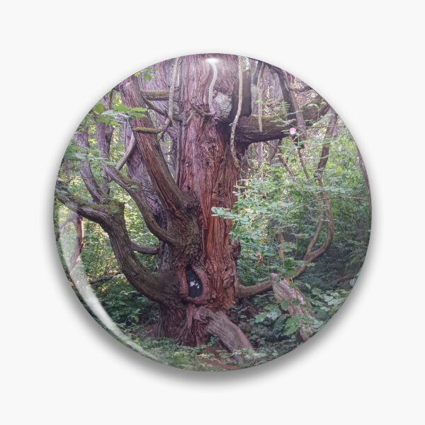 Item preview, Tree in Mt Pisgah designed and sold by weirdlyeasy.