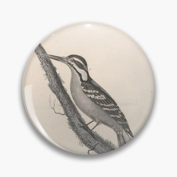 Item preview, Picus Villosus: Majestic Woodpecker Illustration for Nature Enthusiasts designed and sold by ptMaker.