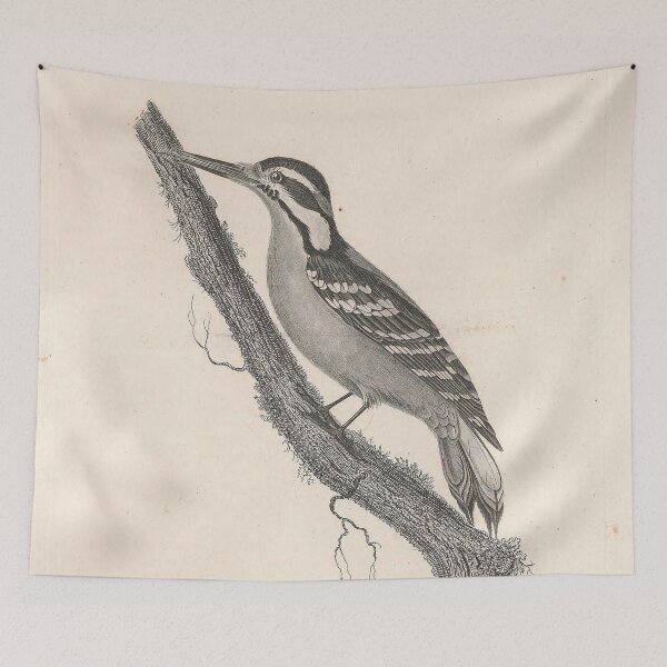 Item preview, Picus Villosus: Majestic Woodpecker Illustration for Nature Enthusiasts designed and sold by ptMaker.