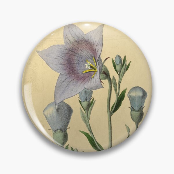 Item preview, Balloon Flower Blossom: Elegant Floral Art for Nature Enthusiasts designed and sold by ptMaker.