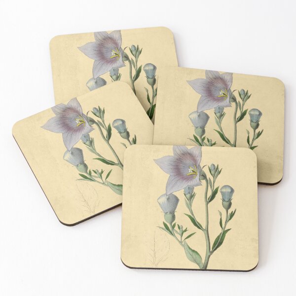 Item preview, Balloon Flower Blossom: Elegant Floral Art for Nature Enthusiasts designed and sold by ptMaker.