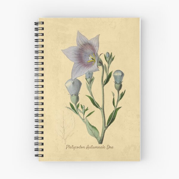 Item preview, Balloon Flower Blossom: Elegant Floral Art for Nature Enthusiasts designed and sold by ptMaker.