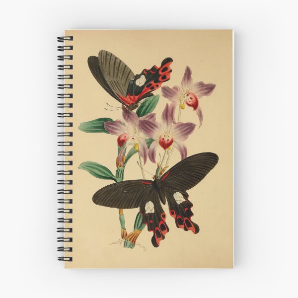 Item preview, Papilio Icarus: Common Blue Butterfly Elegance in Art designed and sold by ptMaker.