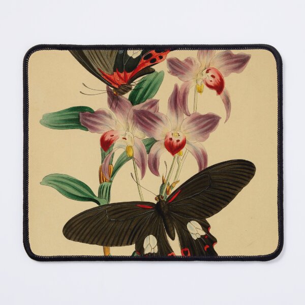 Item preview, Papilio Icarus: Common Blue Butterfly Elegance in Art designed and sold by ptMaker.