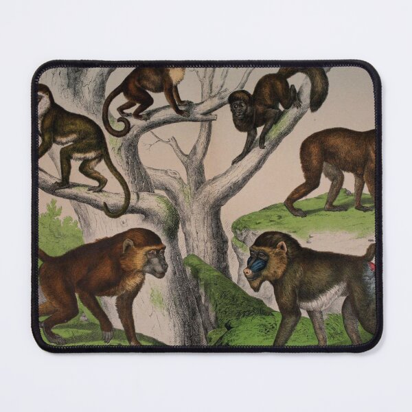 Item preview, Monkey and Baboon Extravaganza: Playful Primate Art for Nature Lovers designed and sold by ptMaker.