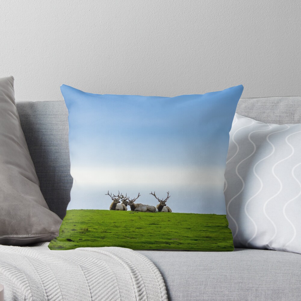 Item preview, Throw Pillow designed and sold by JosieBoxer.