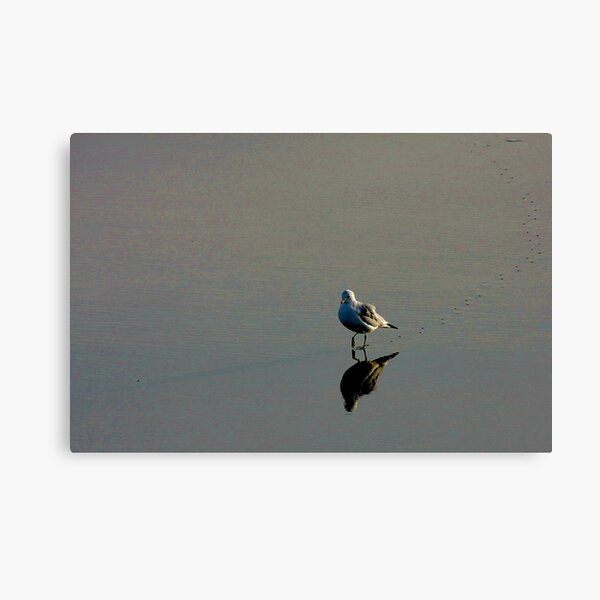 It Was A Long Long Walk .... Canvas Print