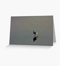 It Was A Long Long Walk .... Greeting Card