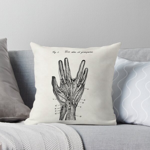 Item preview, Anatomy for long life and prosperity designed and sold by Taramtula-Art.