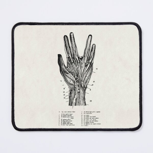 Item preview, Anatomy for long life and prosperity designed and sold by Taramtula-Art.