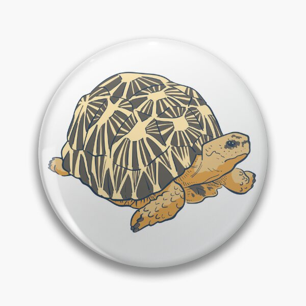Item preview, radiated tortoise designed and sold by Reo12.
