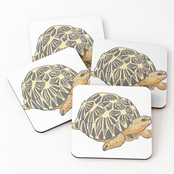 Item preview, radiated tortoise designed and sold by Reo12.