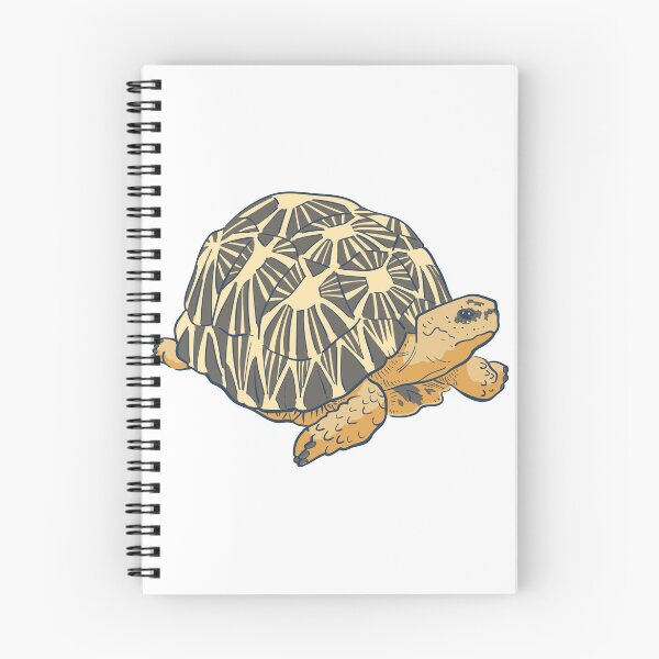 Item preview, radiated tortoise designed and sold by Reo12.