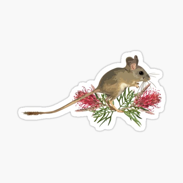 Item preview, Hopping Mouse & Grevillea designed and sold by Racheltmason.