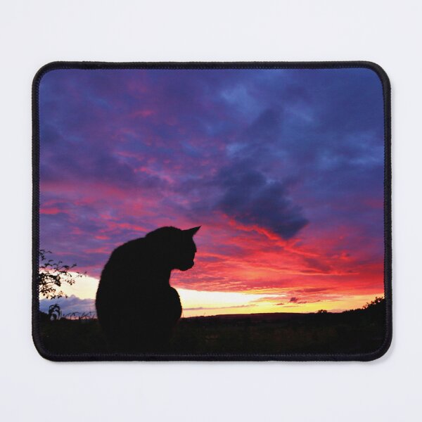 Item preview, Black cat watching sunset designed and sold by AntonyGRobinson.