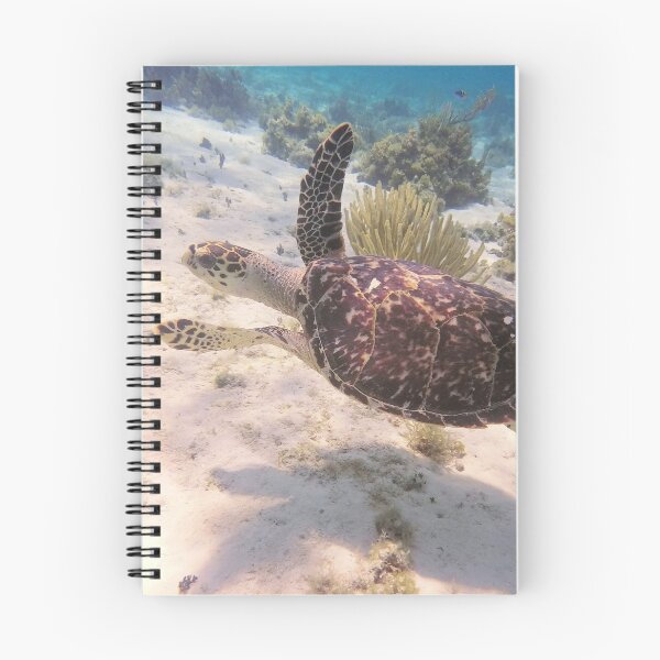 Item preview, Grand Cayman Turtle designed and sold by Nicole12Marie.