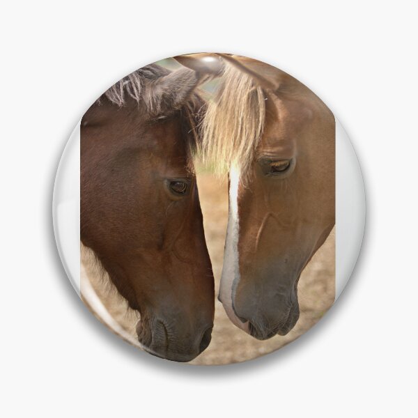 Item preview, Two horses greeting designed and sold by AntonyGRobinson.