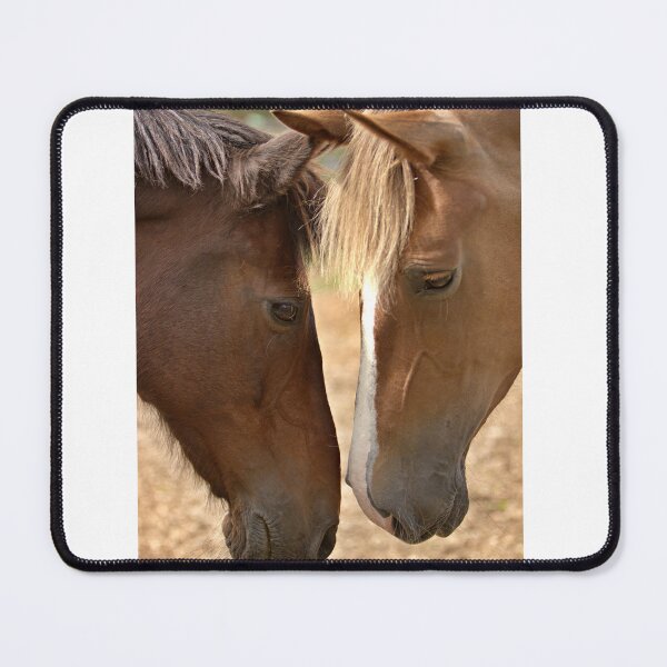 Item preview, Two horses greeting designed and sold by AntonyGRobinson.