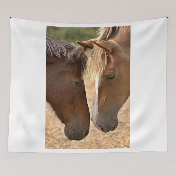 Item preview, Two horses greeting designed and sold by AntonyGRobinson.