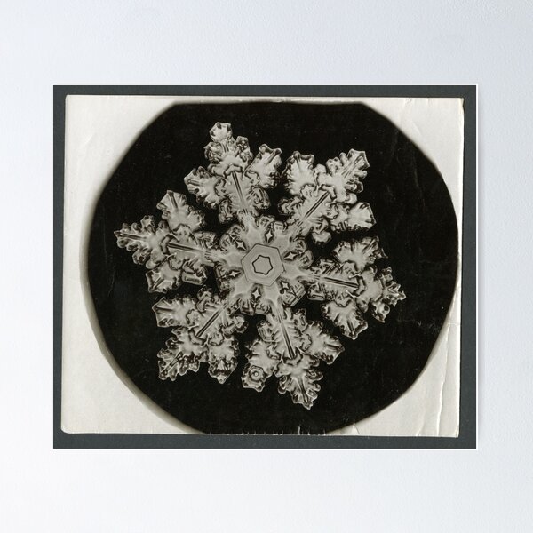 Item preview, Old Photo of Snowflake. Antique Christmas Decoration designed and sold by amovitania.