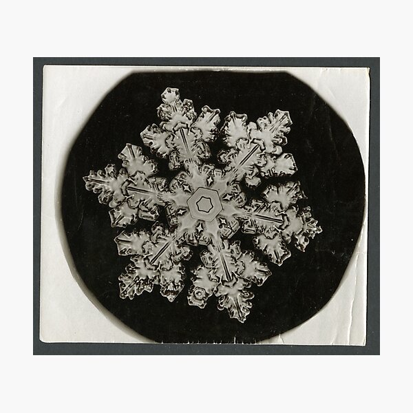 Item preview, Old Photo of Snowflake. Antique Christmas Decoration designed and sold by amovitania.