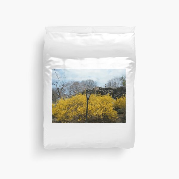Item preview, Spring Colors, Central Park, New York City designed and sold by lenspiro.