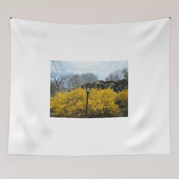 Item preview, Spring Colors, Central Park, New York City designed and sold by lenspiro.
