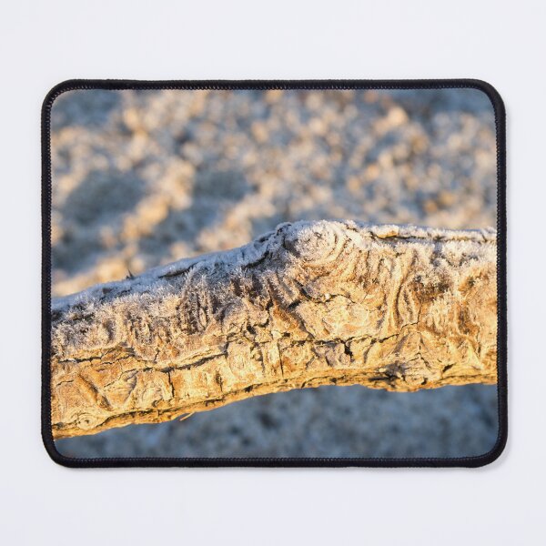 Item preview, Cool Hoarfrost Crystals on a Scaly Driftwood Log designed and sold by Georgia Mizuleva.