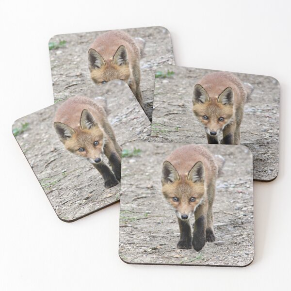Item preview, A fox cub designed and sold by AntonyGRobinson.