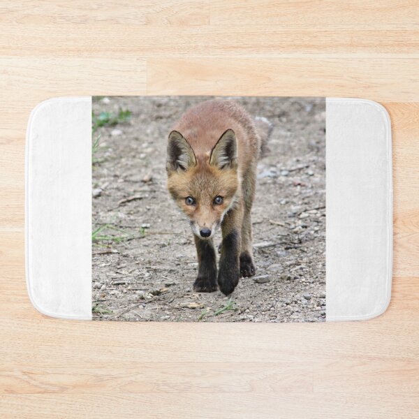 Item preview, A fox cub designed and sold by AntonyGRobinson.