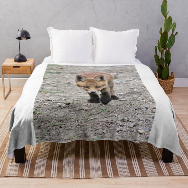 Item preview, A fox cub designed and sold by AntonyGRobinson.