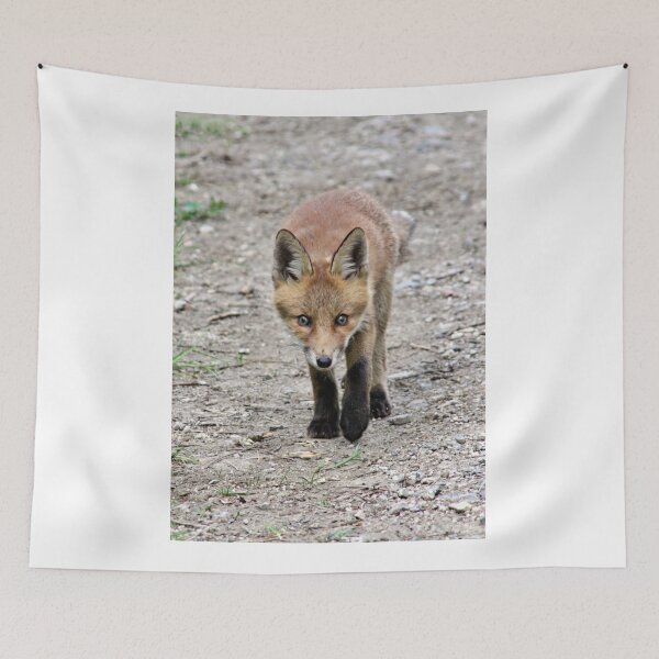 Item preview, A fox cub designed and sold by AntonyGRobinson.