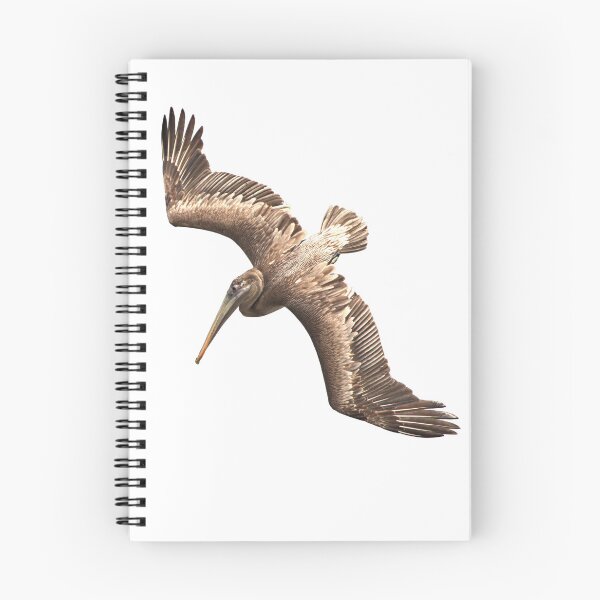 Item preview, Pelican flying designed and sold by AntonyGRobinson.