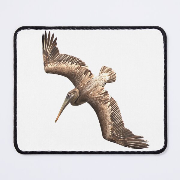 Item preview, Pelican flying designed and sold by AntonyGRobinson.
