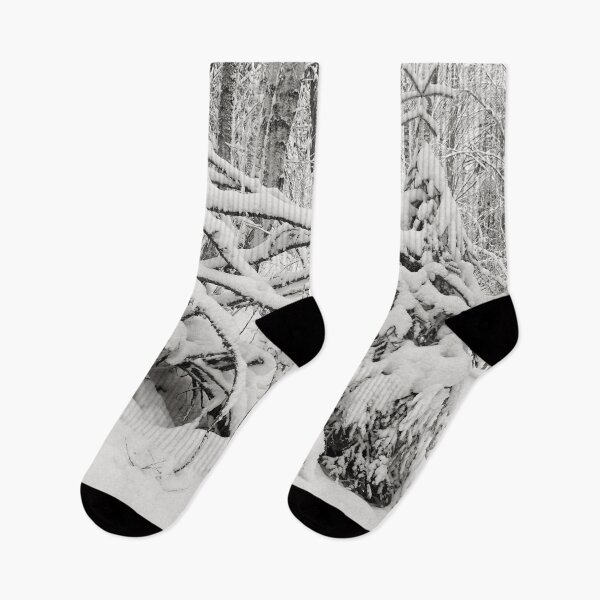 Item preview, Bending for the winter. First snow views bw designed and sold by Jouko Lehto Photography.