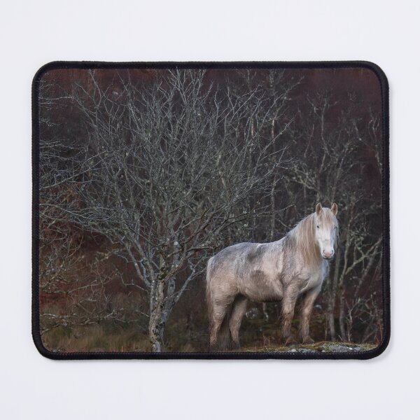 Item preview, Scottish Highland Pony designed and sold by derekbeattie.